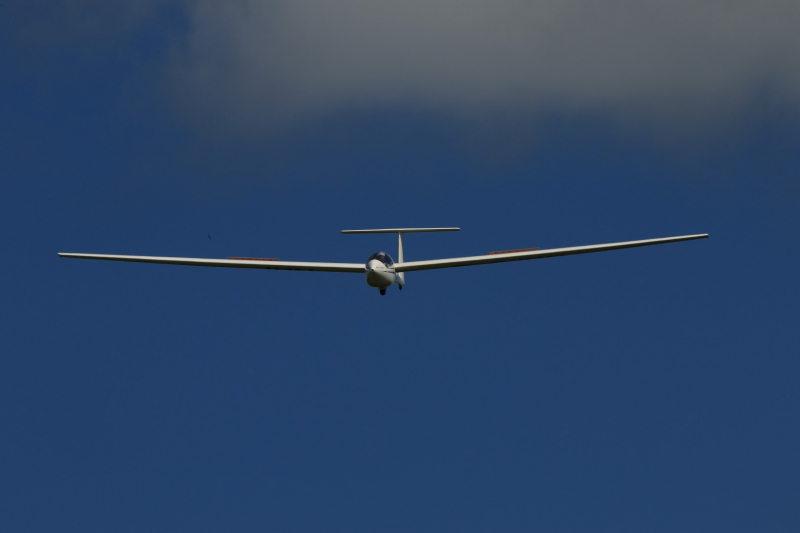 Astir Jeans July 2021 (RMG)